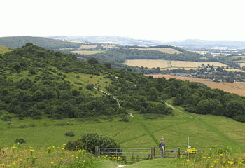 beacon-hill3