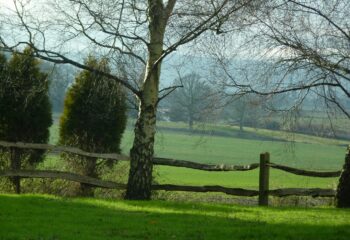 west-sussex-countryside