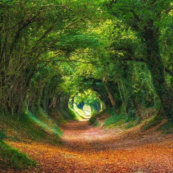 RuralHolidayHomesinSussex Growtrain Ltd