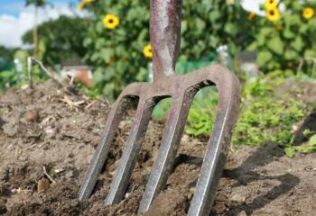 garden-fork